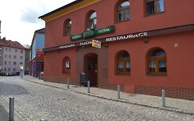Penzion Tučňák